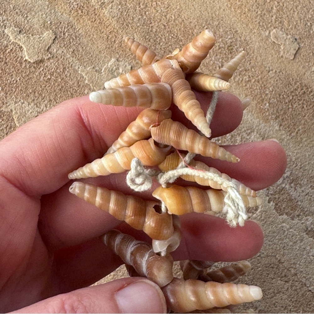 Mermaid Turritella Unicorn Horn Spiral Beachy Boho Shell Necklace Strand 48” - Picture 10 of 11